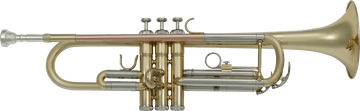 TP300 BB TROMBA OTTONE LACCATO - TUBO IN OTTONE ROSA