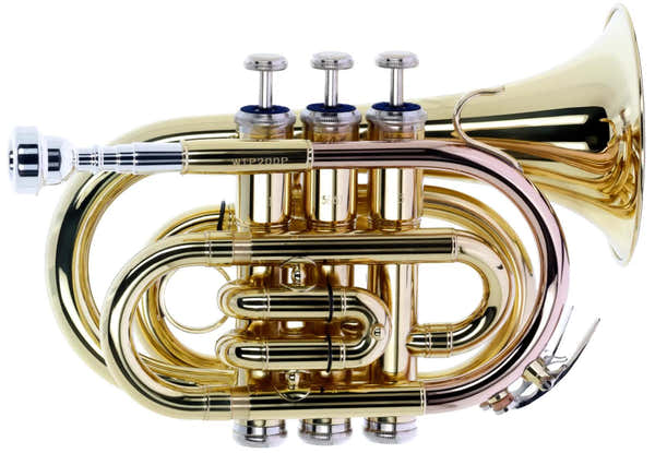 WTP200P - Sib verniciato