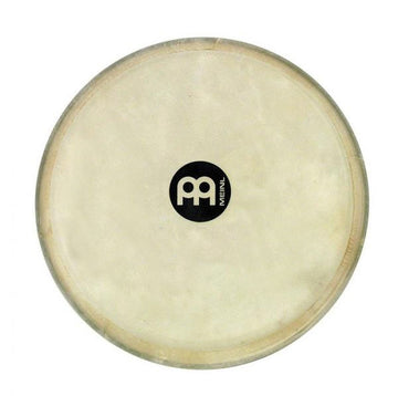 7.5 BONGO HEADLINER HEAD