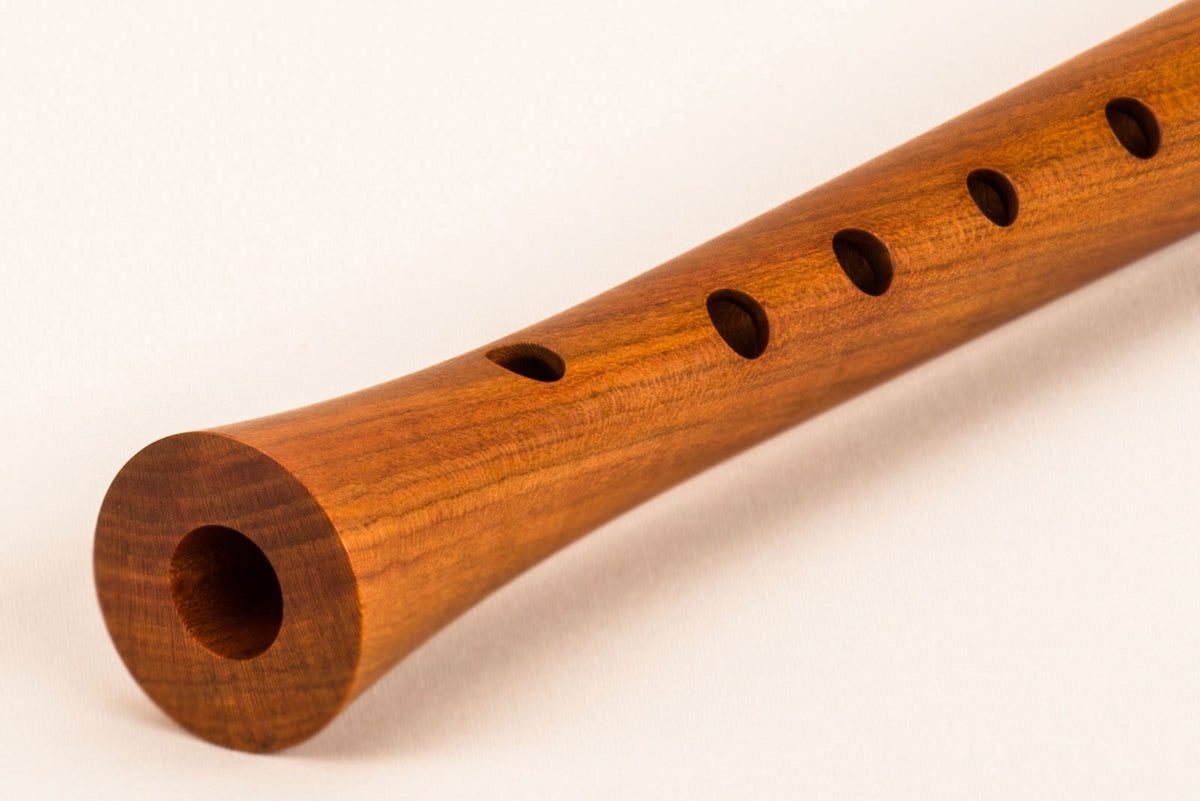 Kynseker Soprano 418 - Prugno (diteggiatura Barocca)