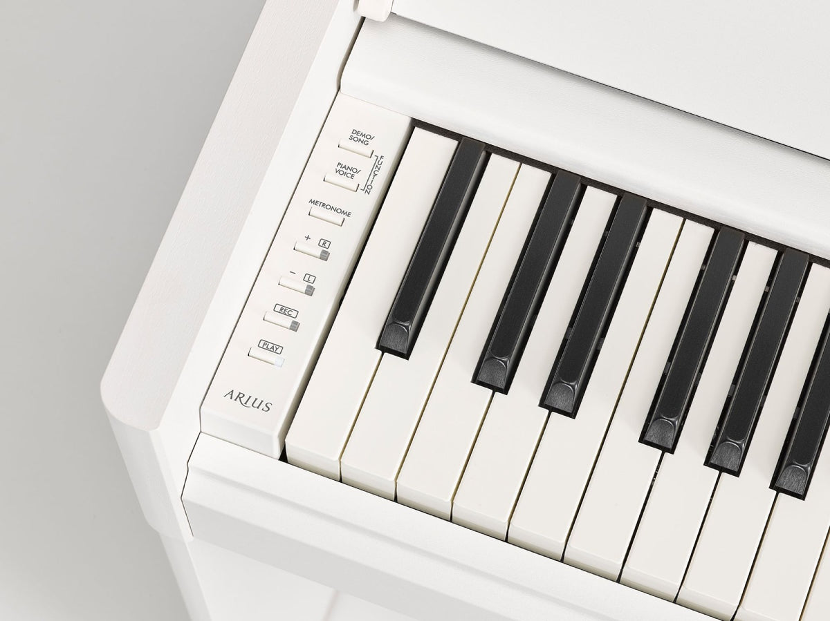 Arius YDP-S55 Bianco