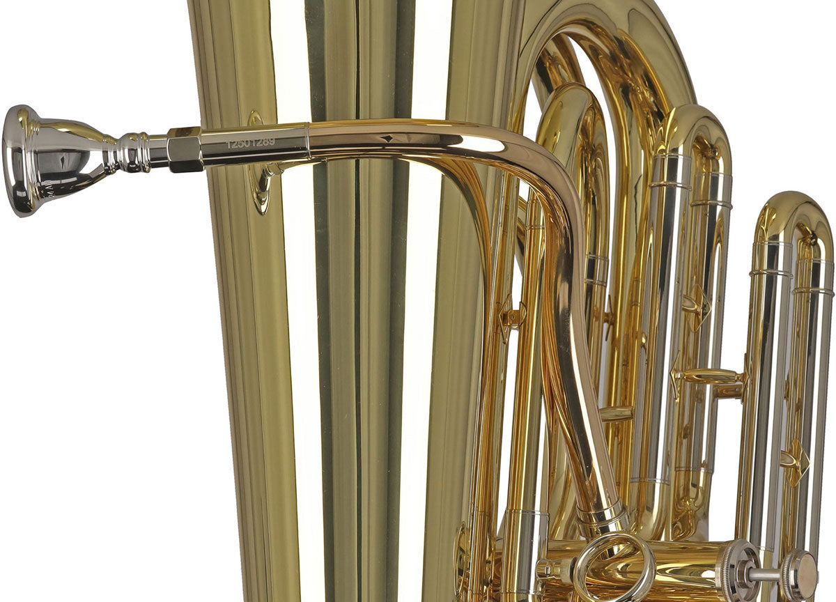 Ambition BB501C Contrabbasso Do Verniciato