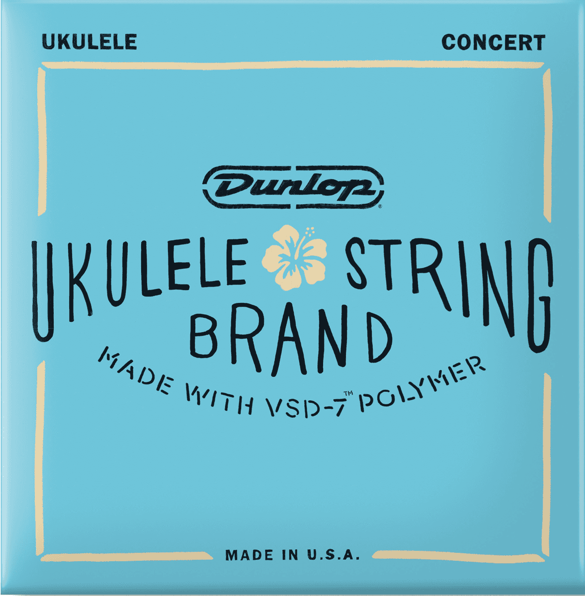 Corde Folk Ukulele Set Ukulele Concerto