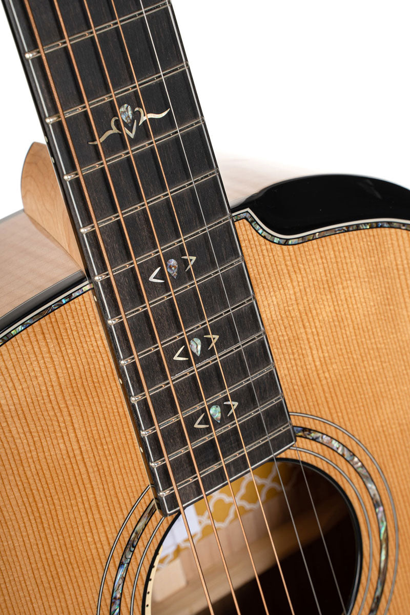 Guitare Gold-Passion Naturel Brill.