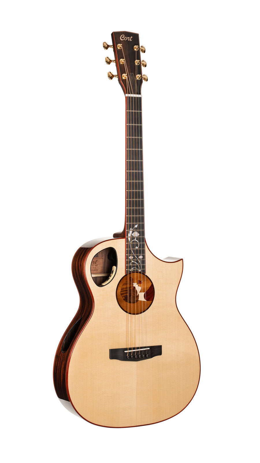 Chitarra Roselyn Redux Naturale Lucida