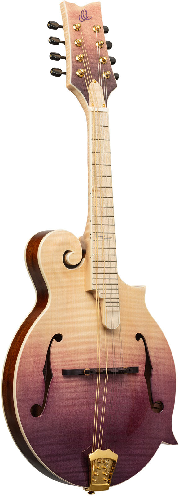 Americana Mandolino F-Style + Custodia in pelle Croco