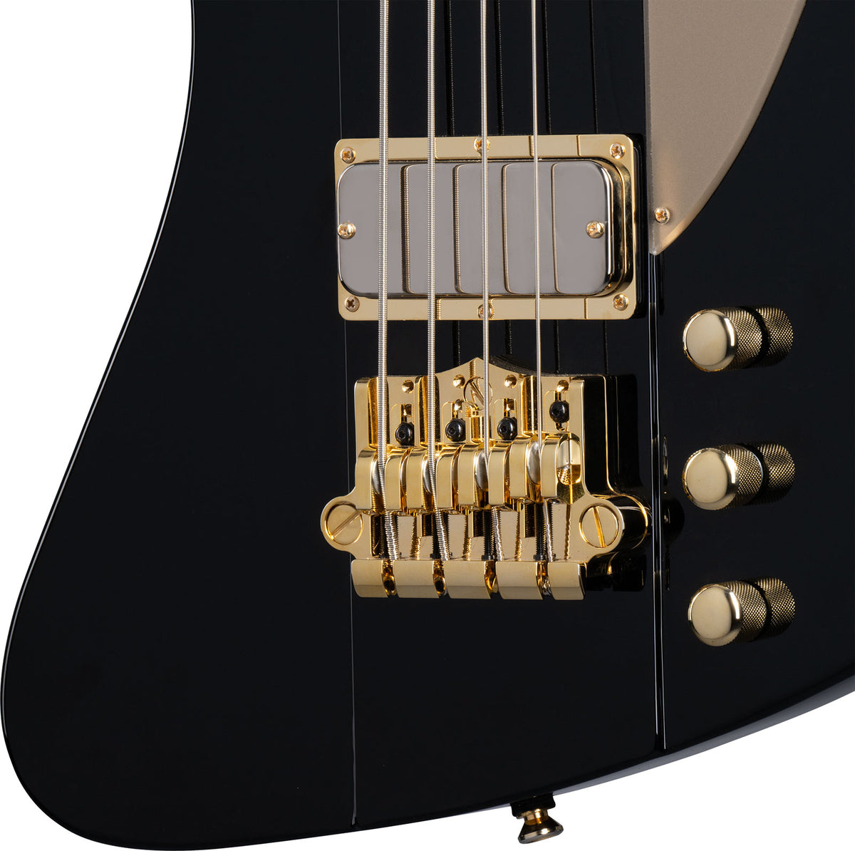 Thunderbird Signature Rex Brown Ebony