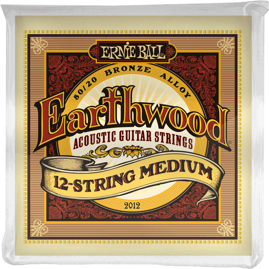EARTHWOOD ACOUSTIC 12 STRINGS MEDIUM 11-11/52-28 2012