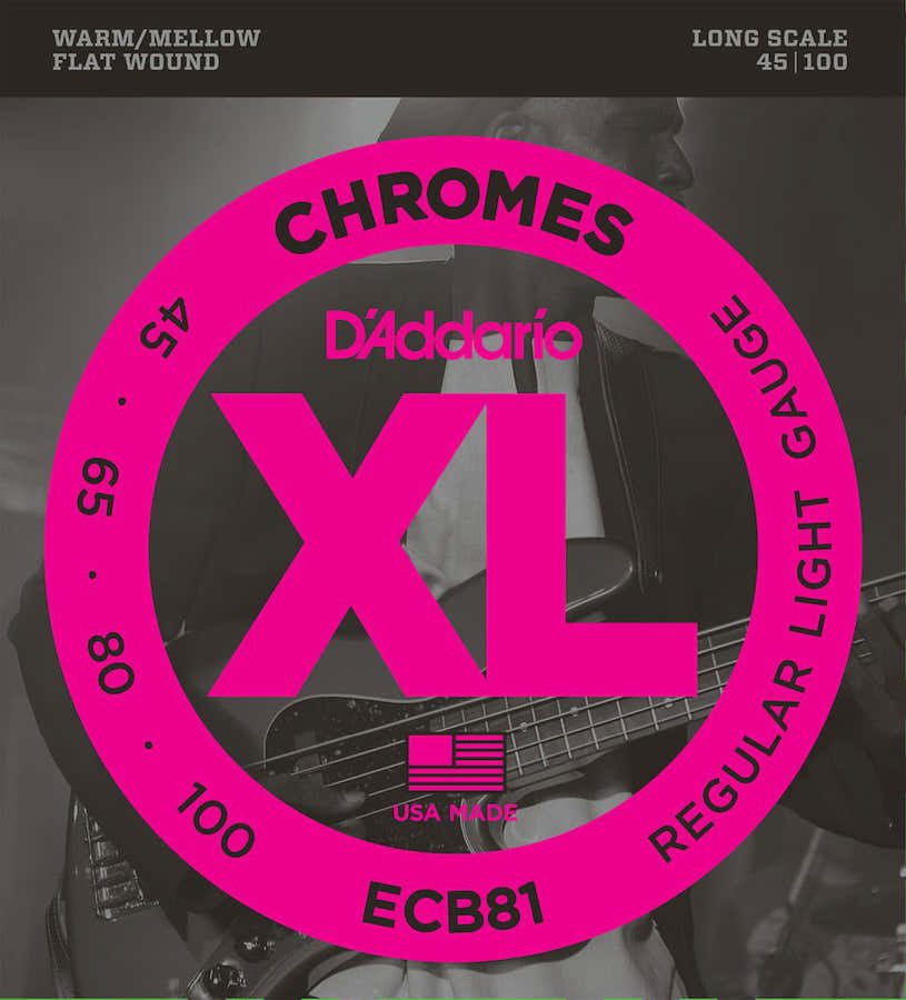 ECB81 Chromes Flatwound Scala lunga Regular Light 45-100