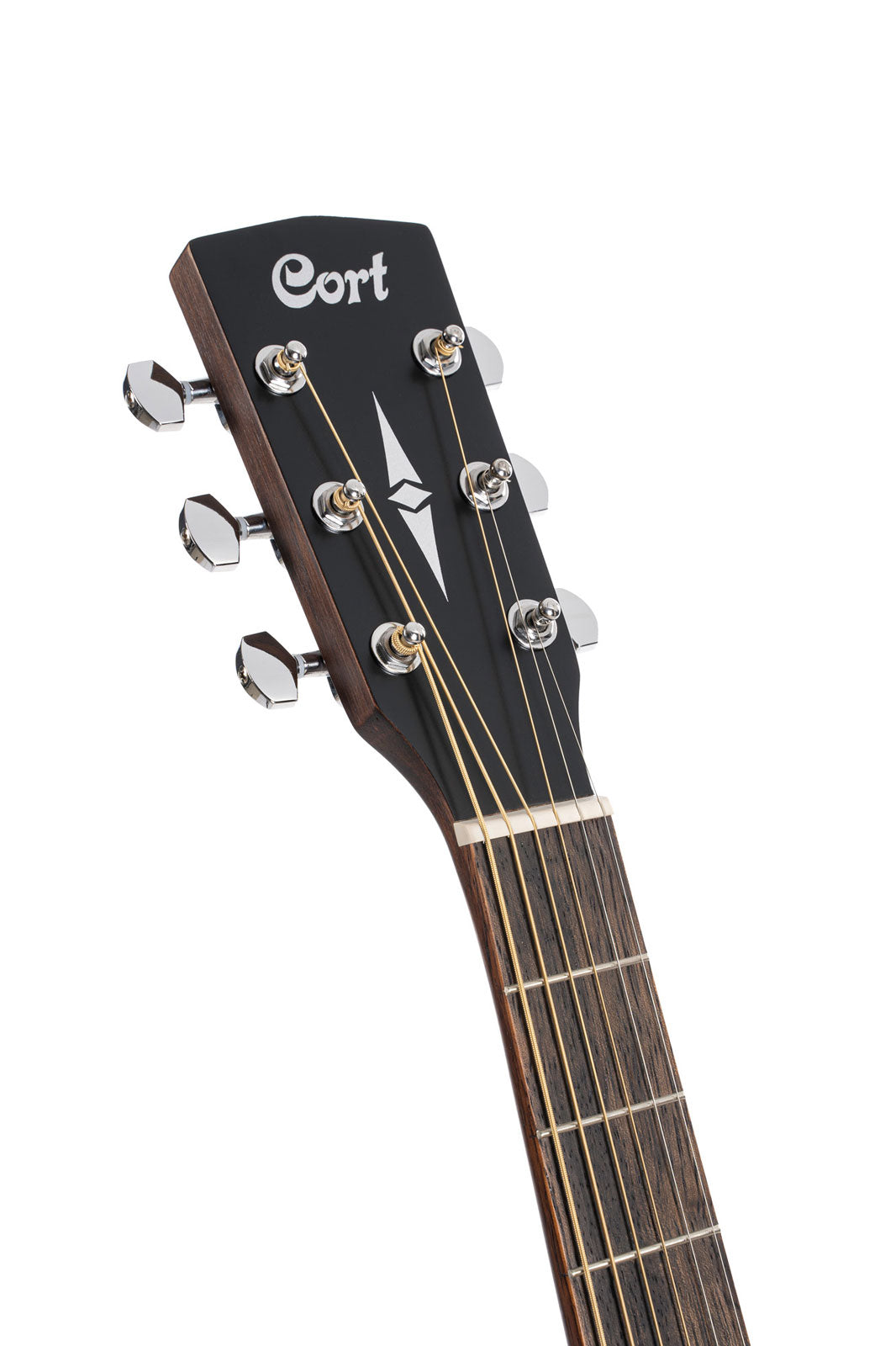 Chitarra Earth60M Naturale