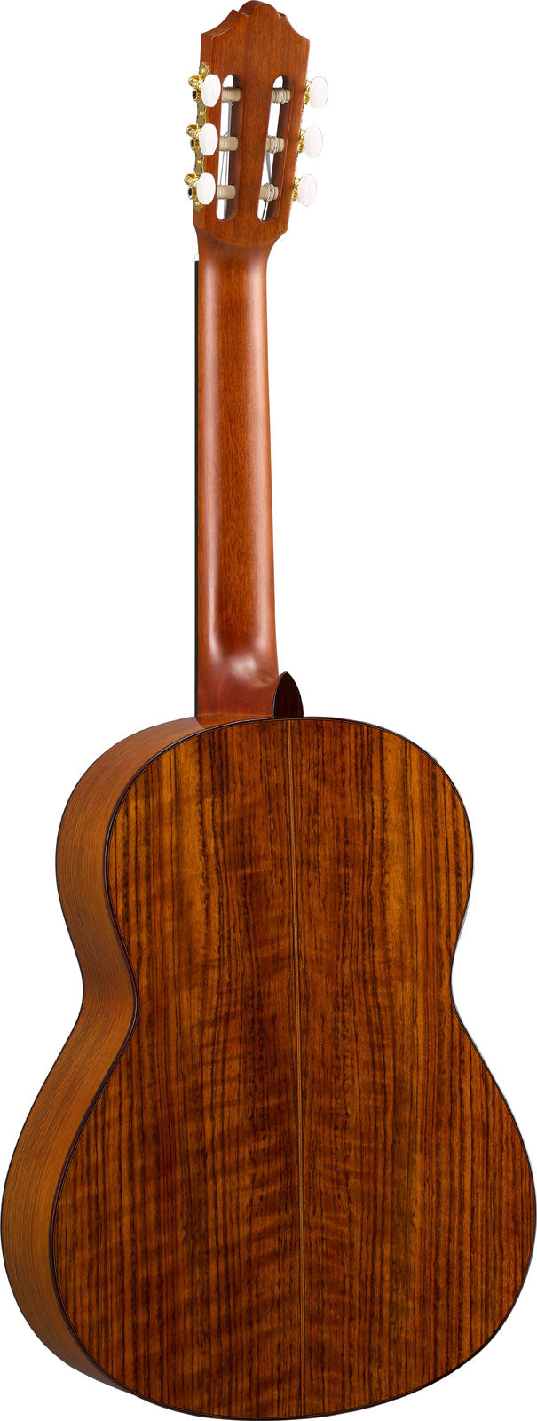cg-ta transacoustic naturale