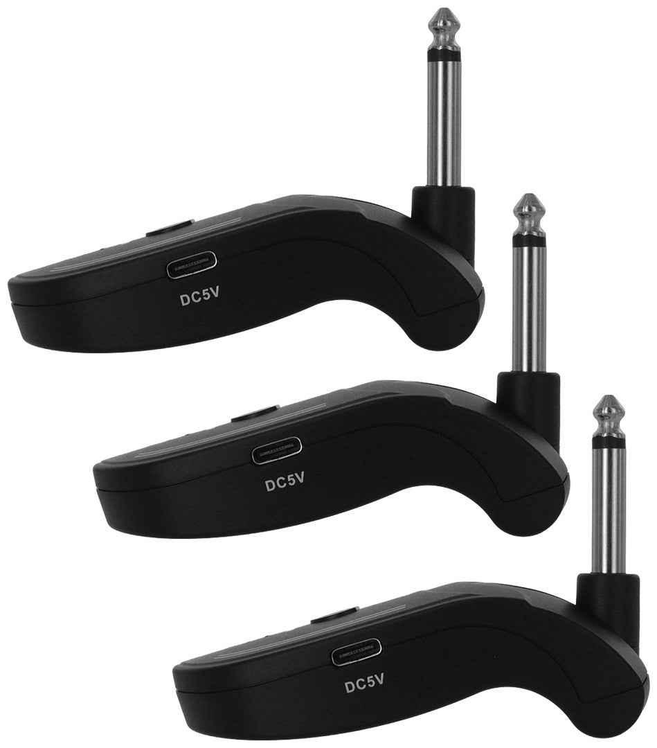 WM 100 2GUITAR JPLUG