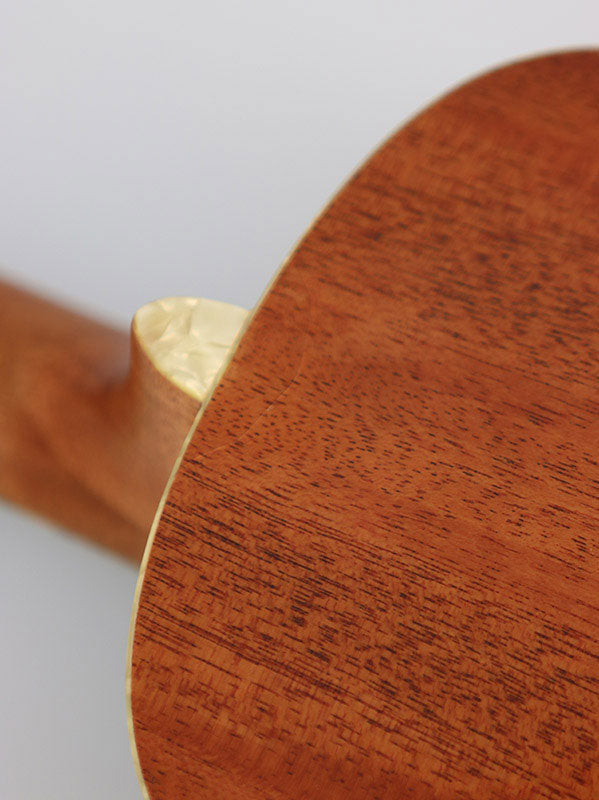 B-Stock / Brooklyn Green Archtop, Tenor, fornito con custodia